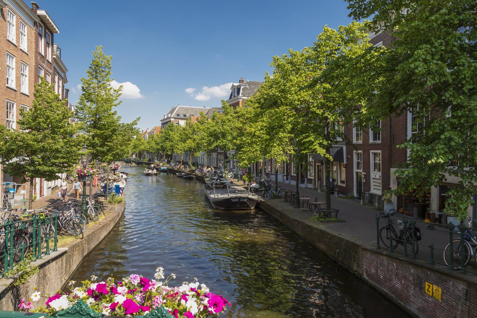 Leiden