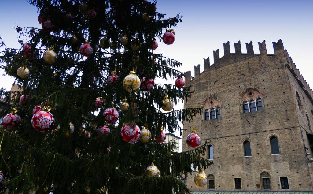 Albero di Natale in Piazza Maggiore a Bologna