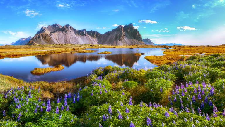 Iceland