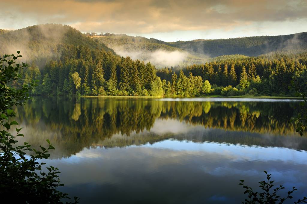 Ruhiger See, der üppig grüne Bäume und neblige Hügel im Morgenlicht unter einem bewölkten Himmel spiegelt.