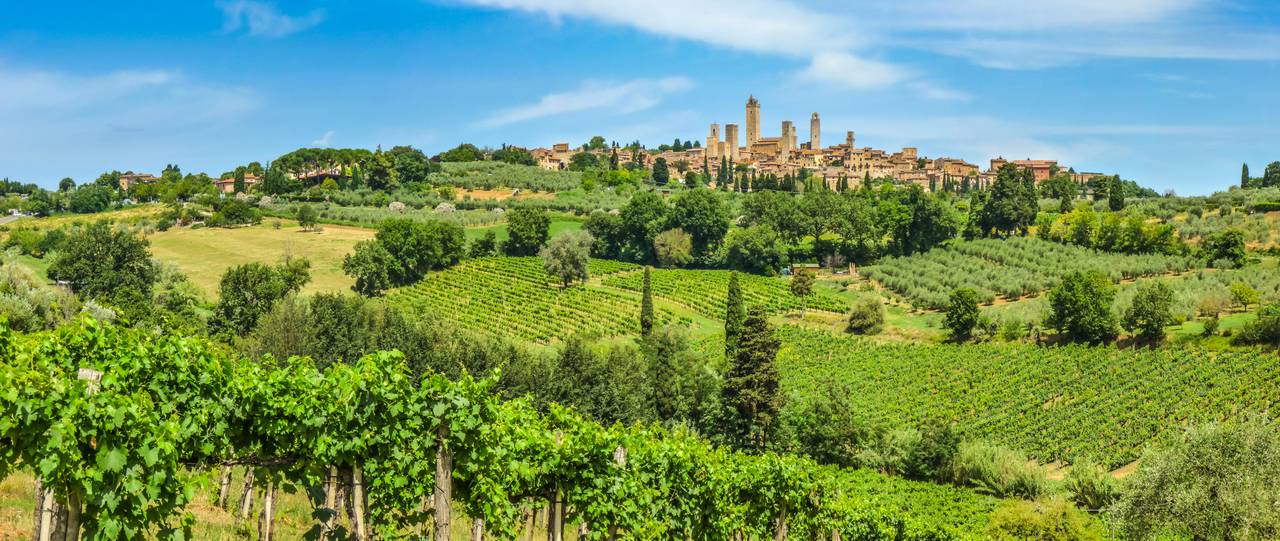 Enoturismo: le migliori strade del vino nelle regioni vinicole più belle