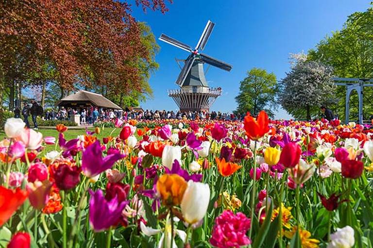 Keukenhof 2