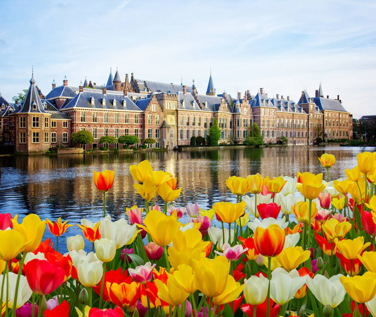the hague