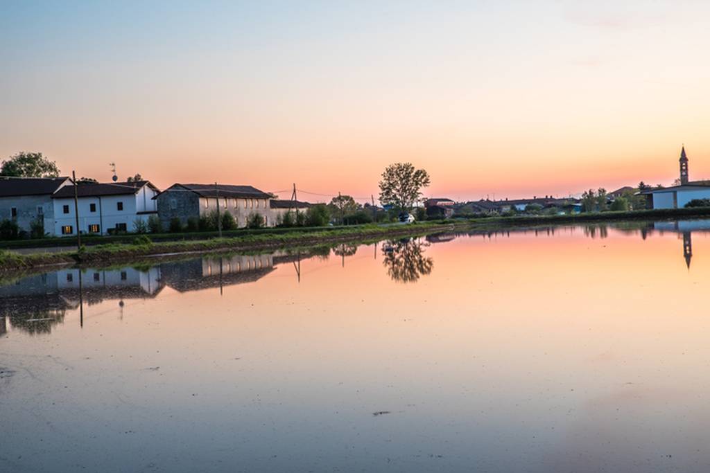 tramonto sulle risaie di Novara