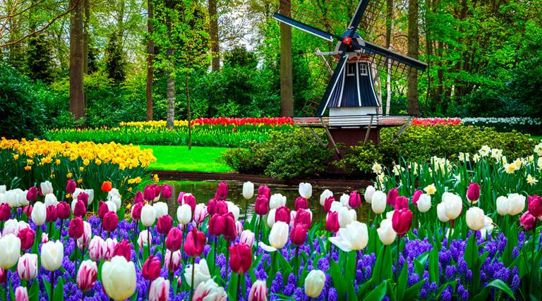 B&B Keukenhof