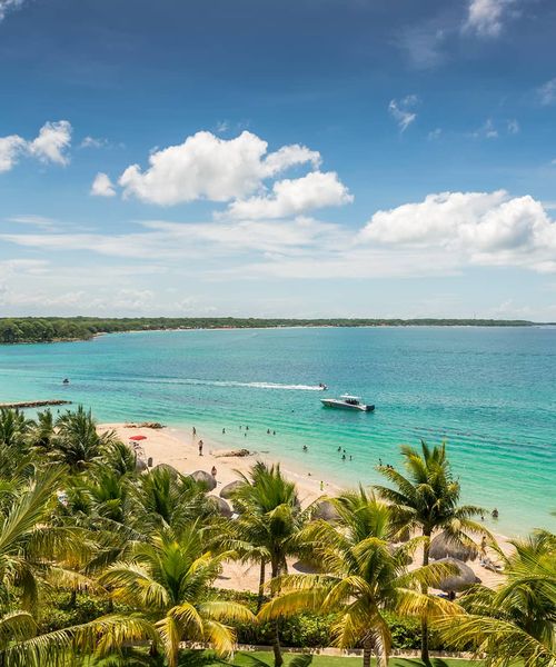 Aerial view of palm trees and a white sand beach with a boat and swimmers in blue ocean water