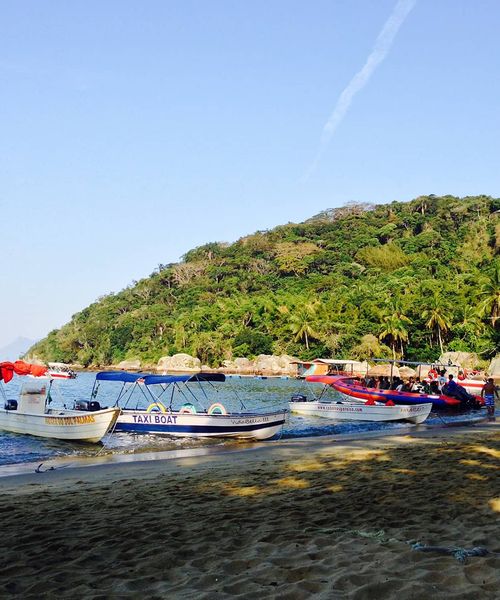 Several boats resting next to the shore