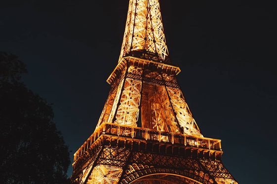 The Eiffel Tower brightly lit up at nighttime with shadows of trees at the bottom of the tower