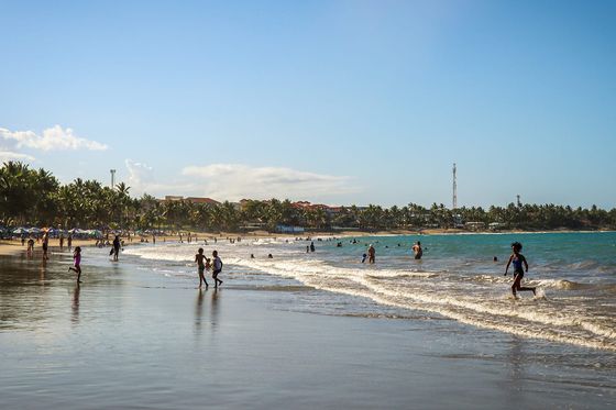 A busy beach with palm trees and blue water
