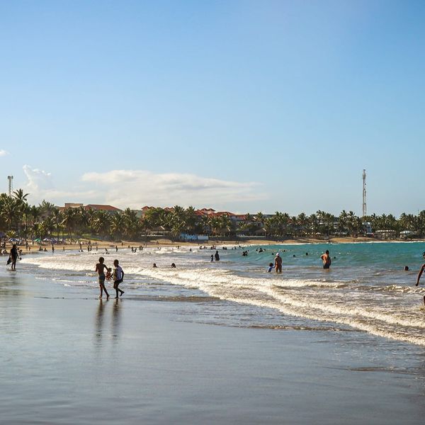 A busy beach with palm trees and blue water