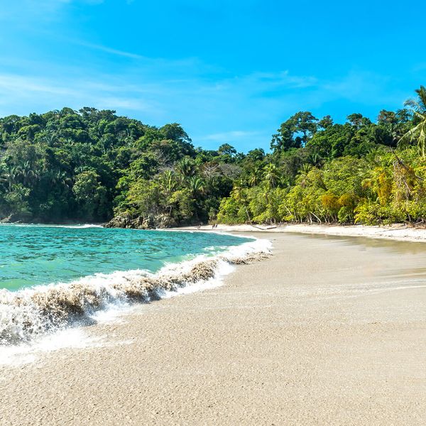 A sandy coastline with palm trees and blue water