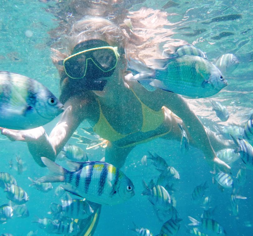 A young woman in a yellow bikini snorkeling underwater with black and white striped fish