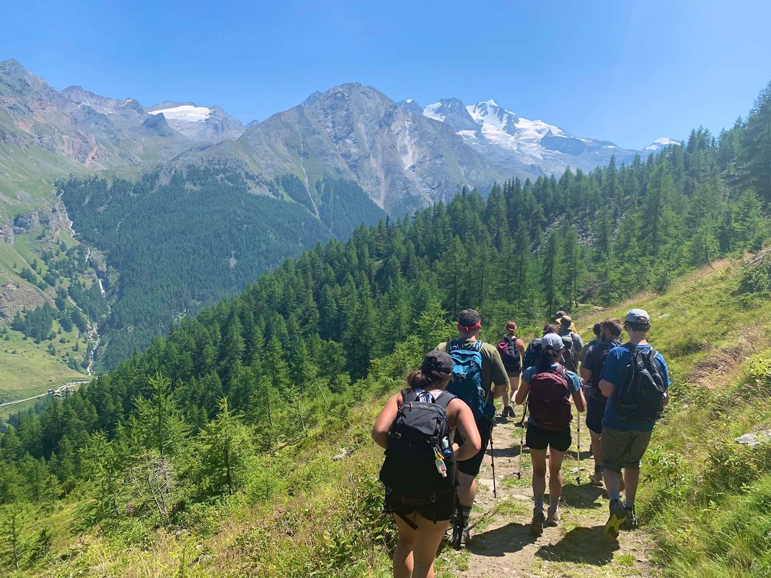 A group of people hiking the Swiss Alps on a sunny day.