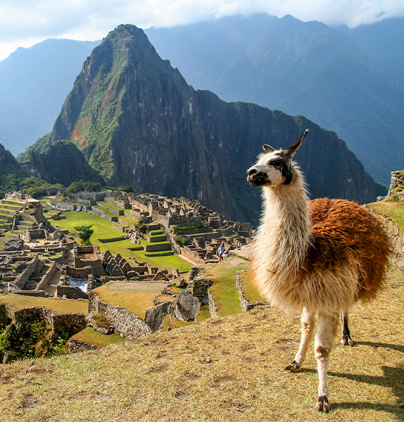 New Year’s in Peru: Peru & Machu Picchu Adventure