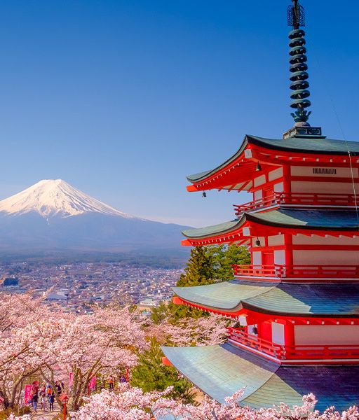 Group travel to Japan Ages 1835