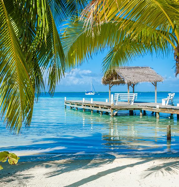 Large palm fronds framing the view of a wooden pier that sits in a crystal blue ocean with a boat off in the distance