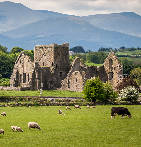 Grand Tour of Ireland: Plus