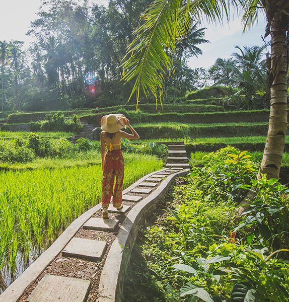 A woman walking on a path in a lush, green, rice terrace in Tegalalang, Bali