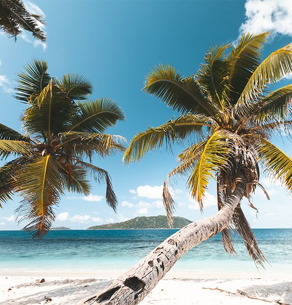 Two crooked palm trees in front of a calm shoreline with white sand and clear blue water with a green island far into the distance