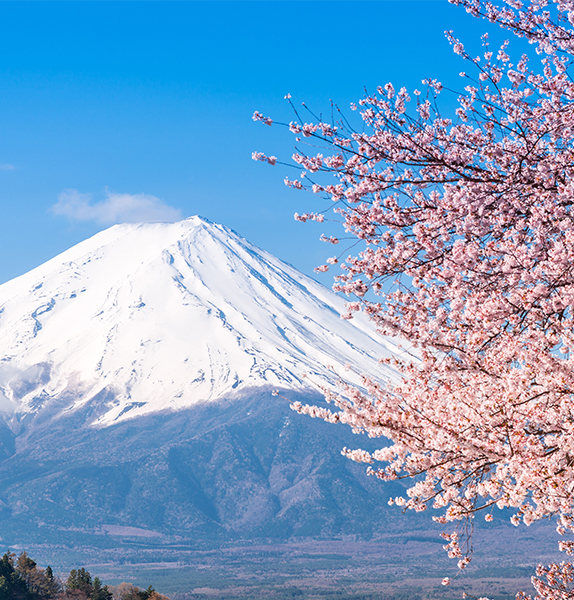 Japan: Tokyo & Beyond