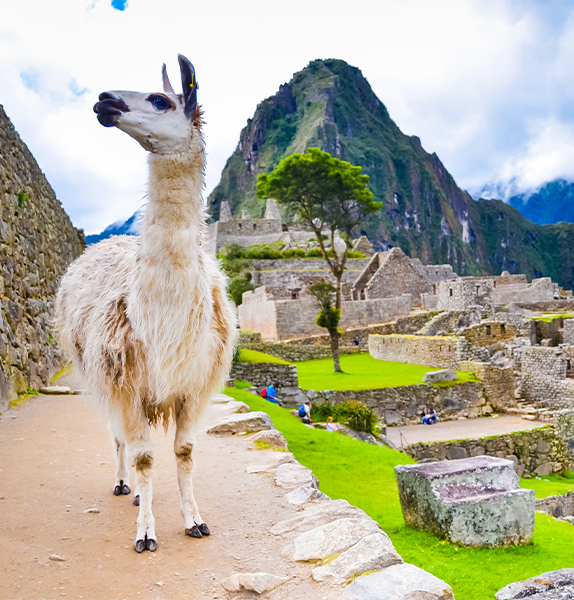 Peru & Machu Picchu Adventure