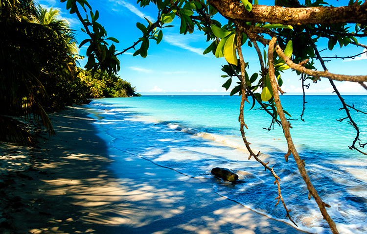 Spring Break: Costa Rica & Panama