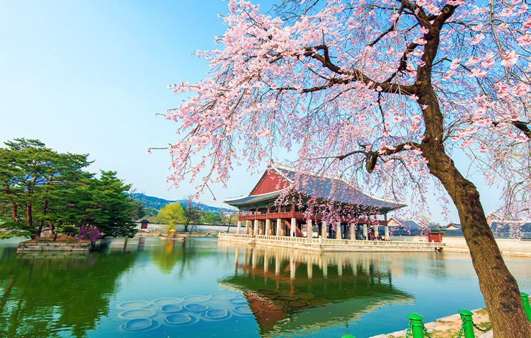 South Korea Spotlight