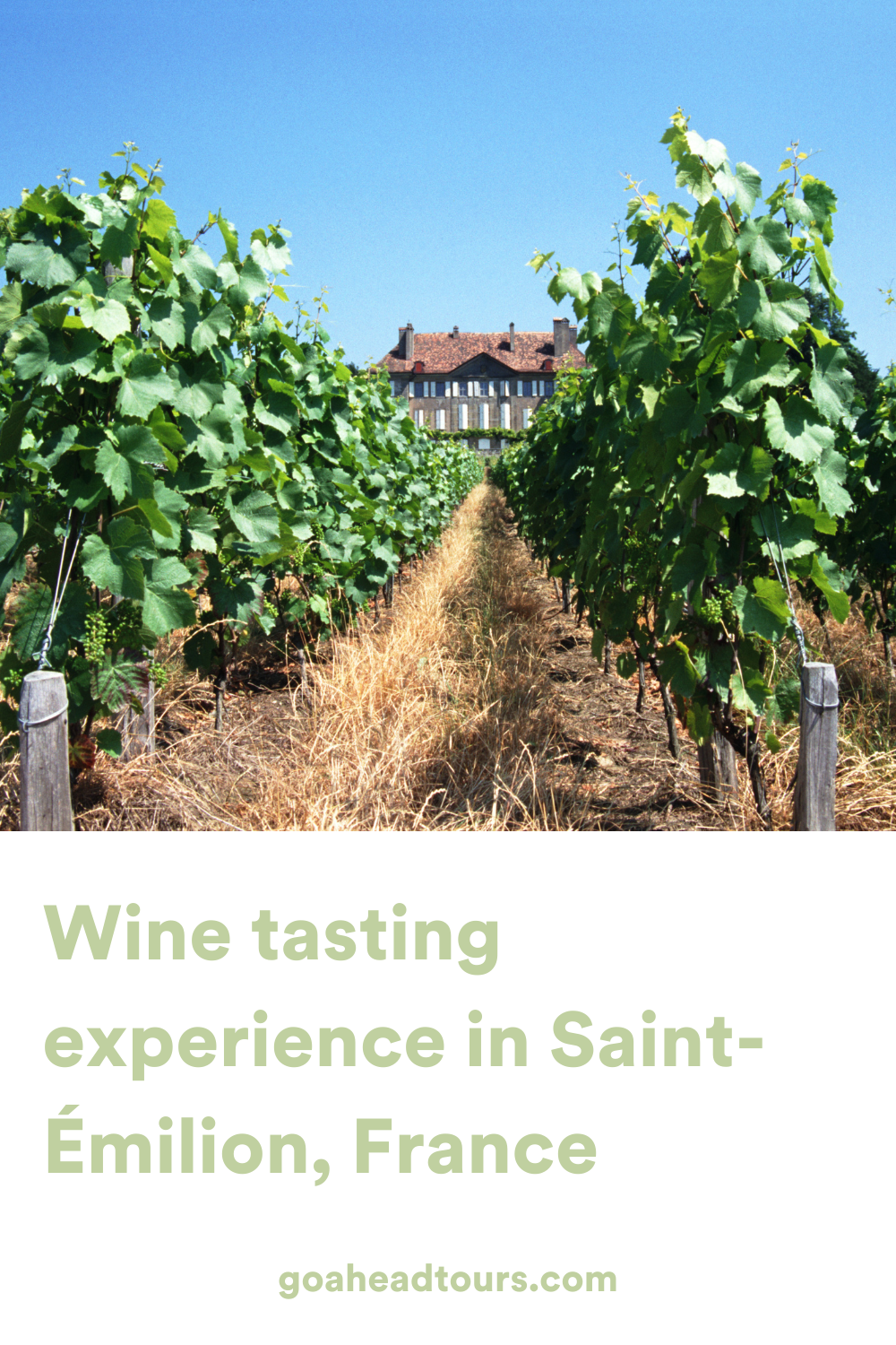 Wine Tasting Experience in SaintEmilion, France EF Go Ahead Tours
