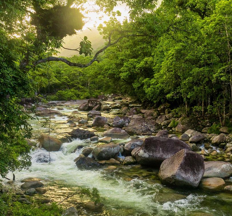 mossman gorge at Daintree National Park in australia