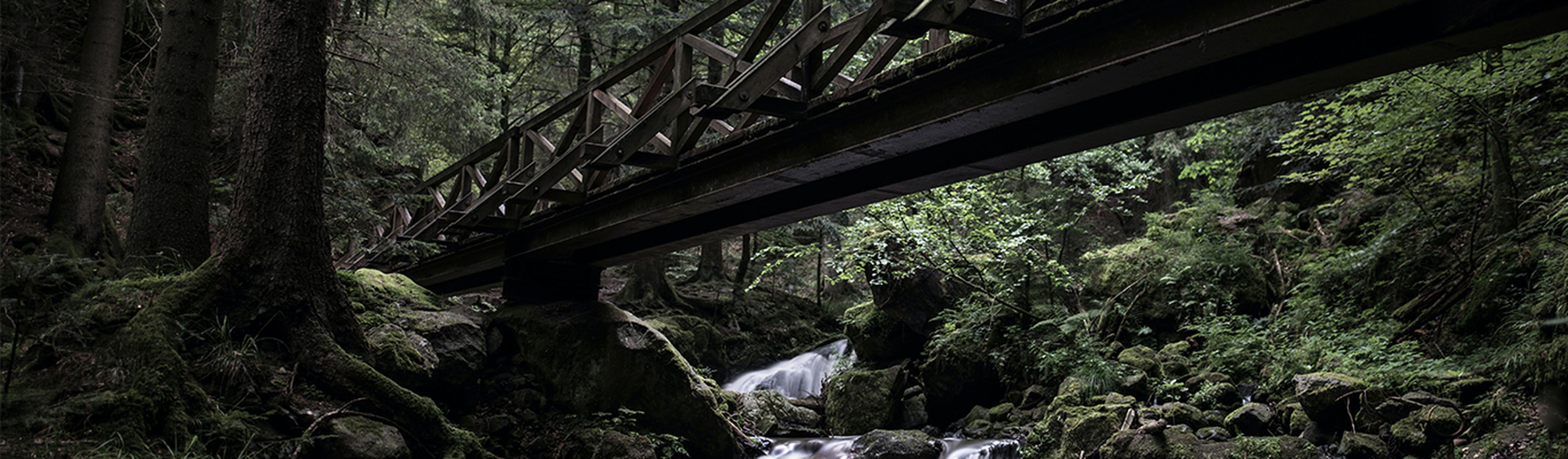 bridge over a waterfall in the black forest region in germany