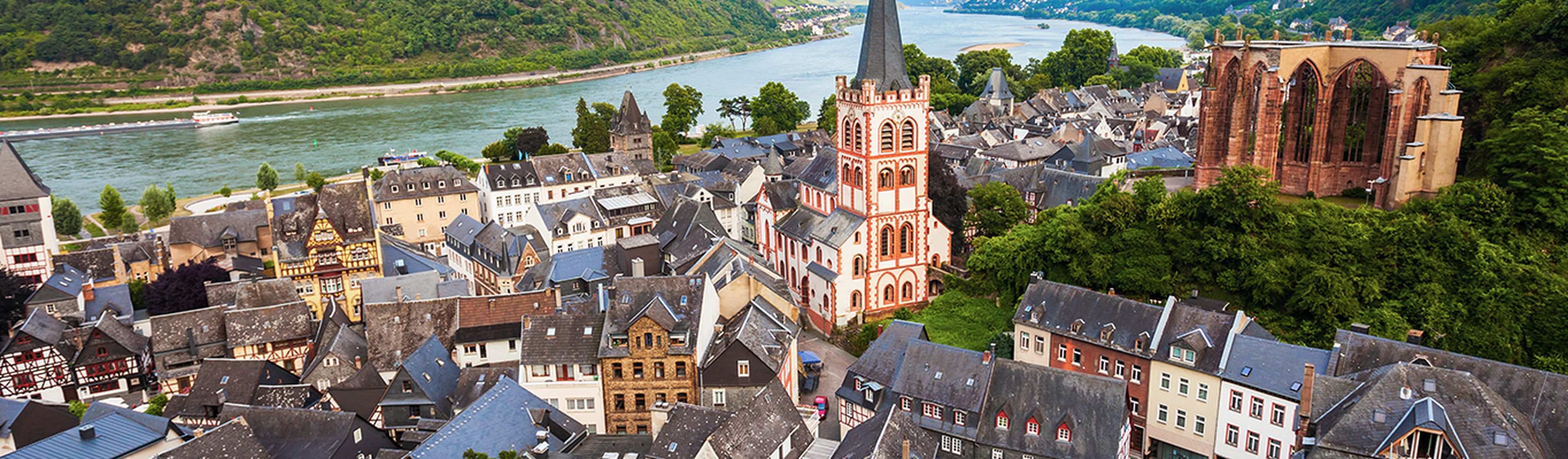 panoramic view of rhine valley with the river along the city