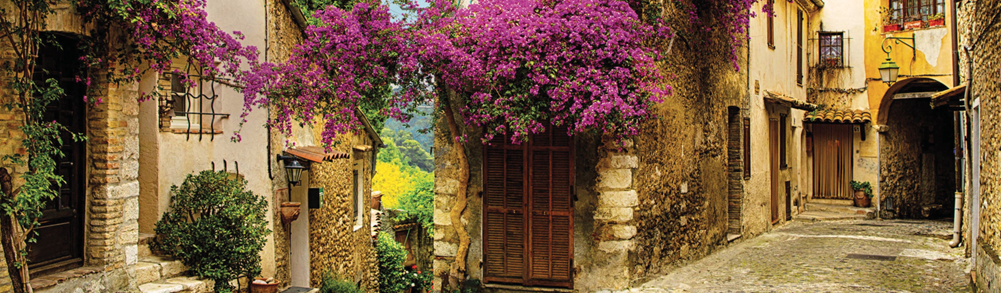 old building with purple overhanging flowers in provence, france