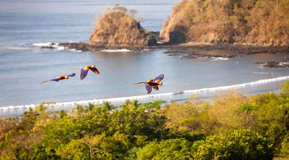 Costa Rica Tours - Trips to Costa Rica 2024 & 2025 | EF Go Ahead Tours