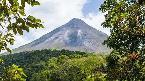 best rainforest tour costa rica