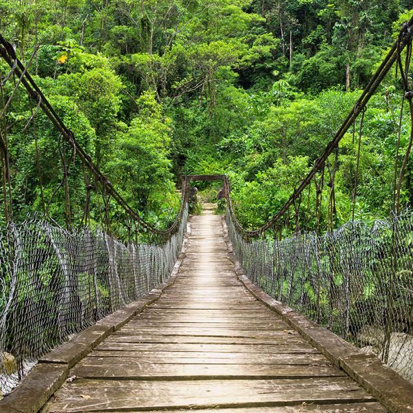 wooden and rope bridge crossing over river in the amazon rainforest