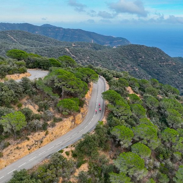 Cyclists ride along a winding road that curves through a lush green forest, with hills and mountains in the background and a vast blue ocean visible in the distance under a partly cloudy sky.