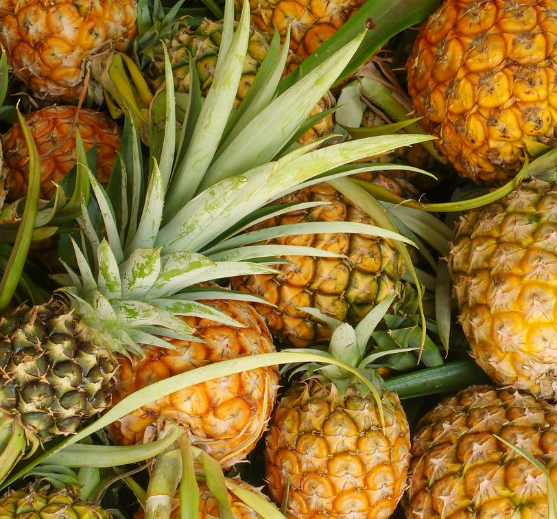 pile of pineapples