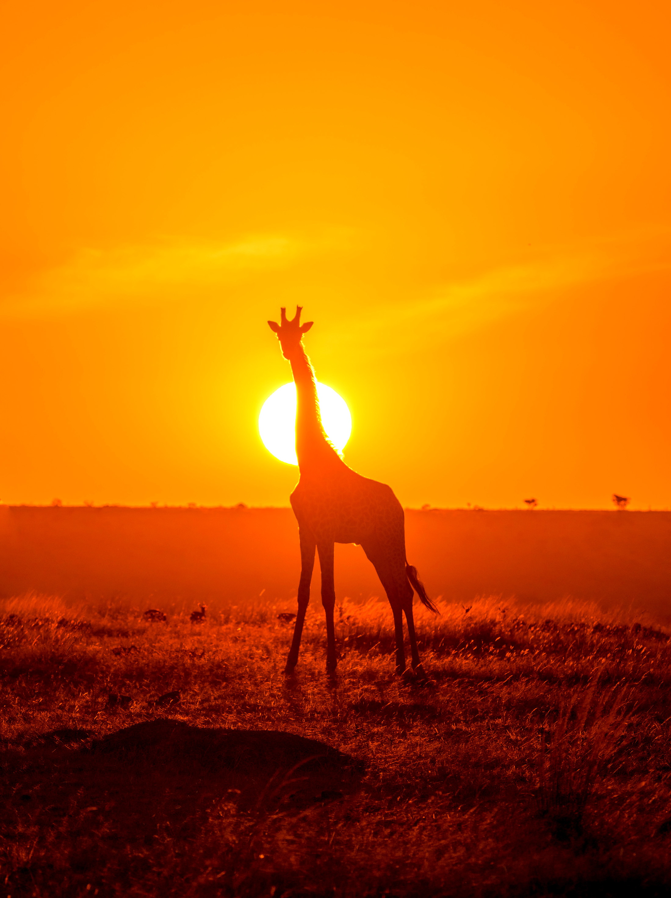 Go Ahead Tours Reviews Tripadvisor - gmwer2a