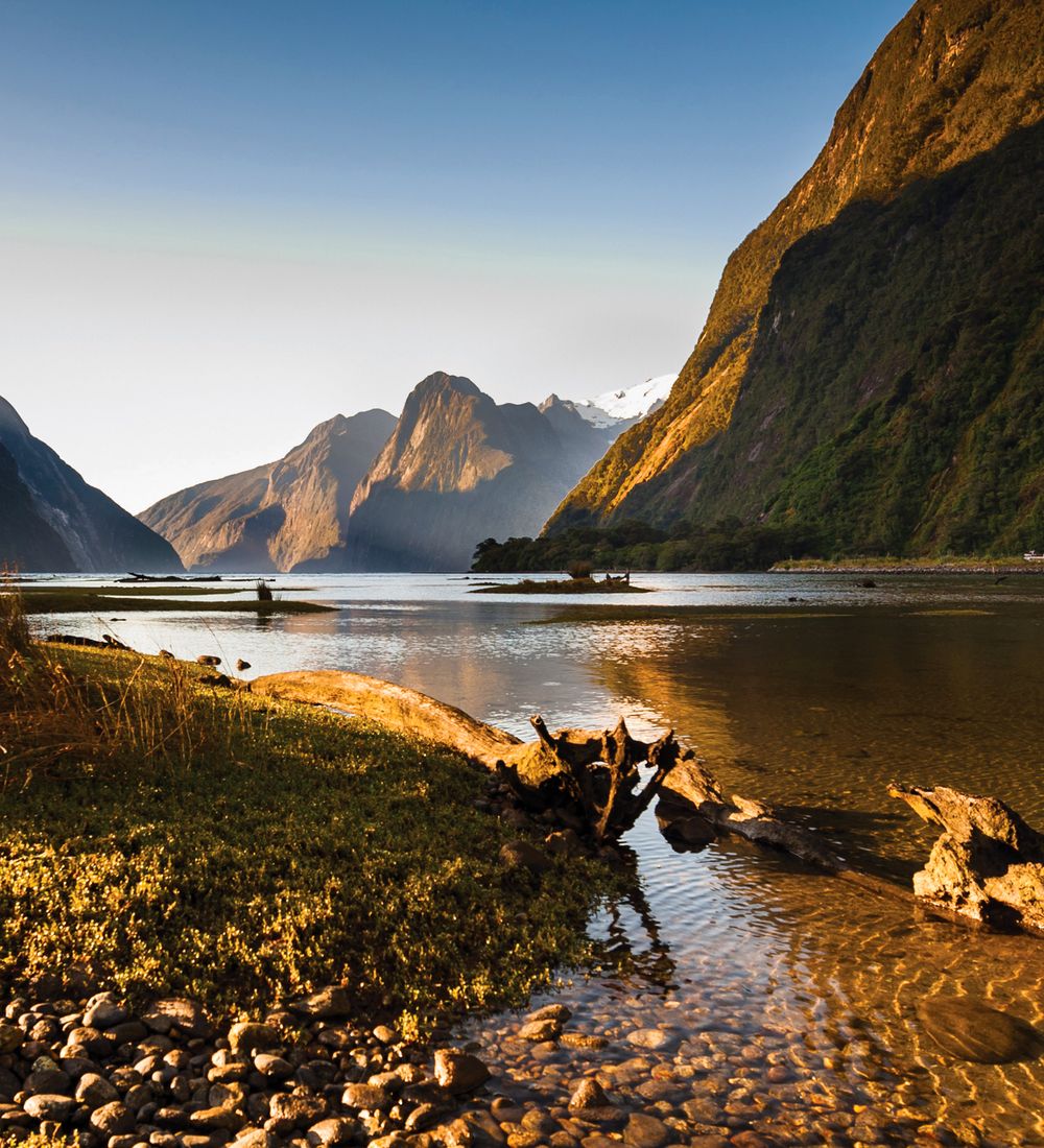 New Zealand Fishing Tea Towel - New Zealand Nature