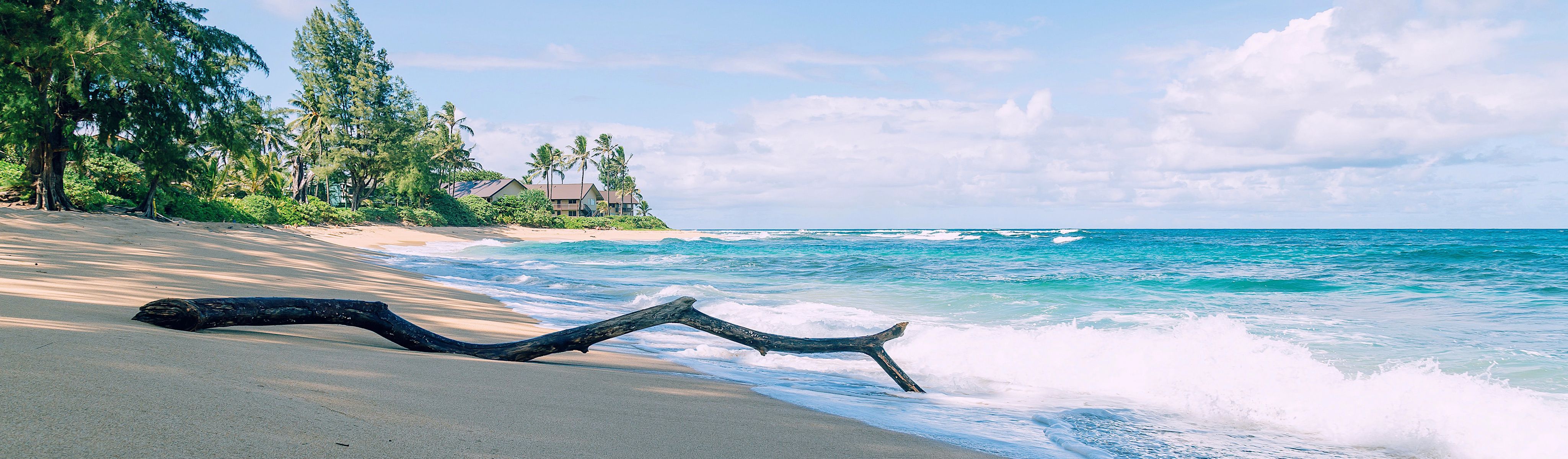 drift wood sitting on a beach in hawaii on a partly cloudy day