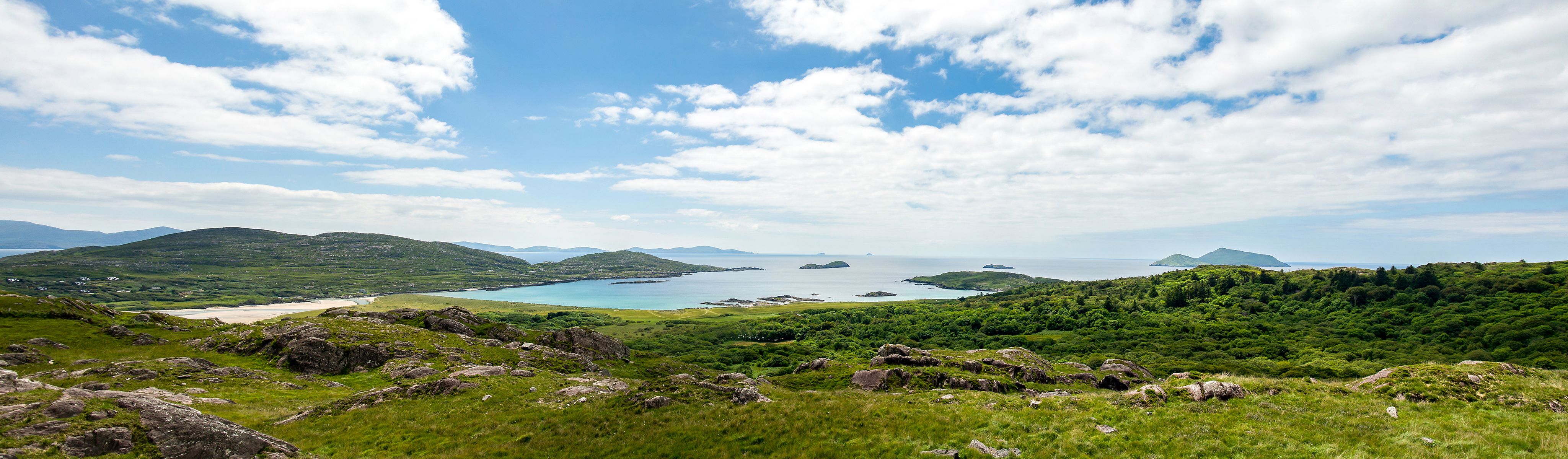 lush green landscapes along the coast in ireland