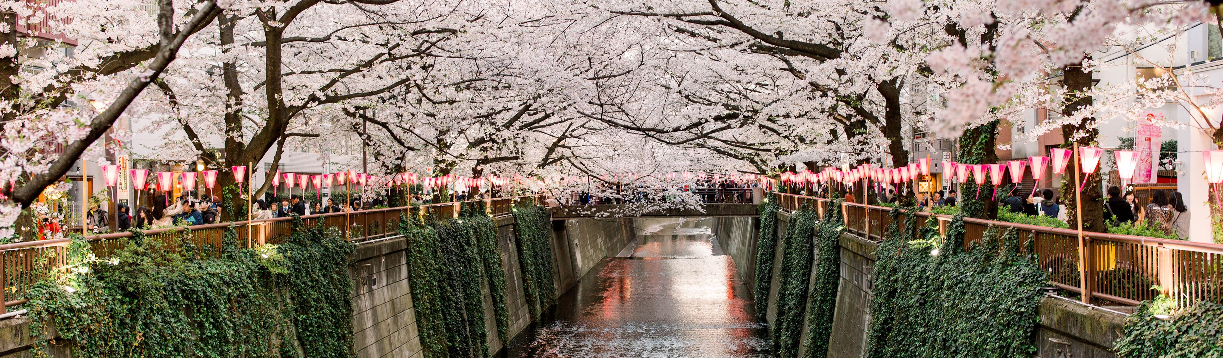 Pokemon Go As You Travel In Tokyo And Kyoto