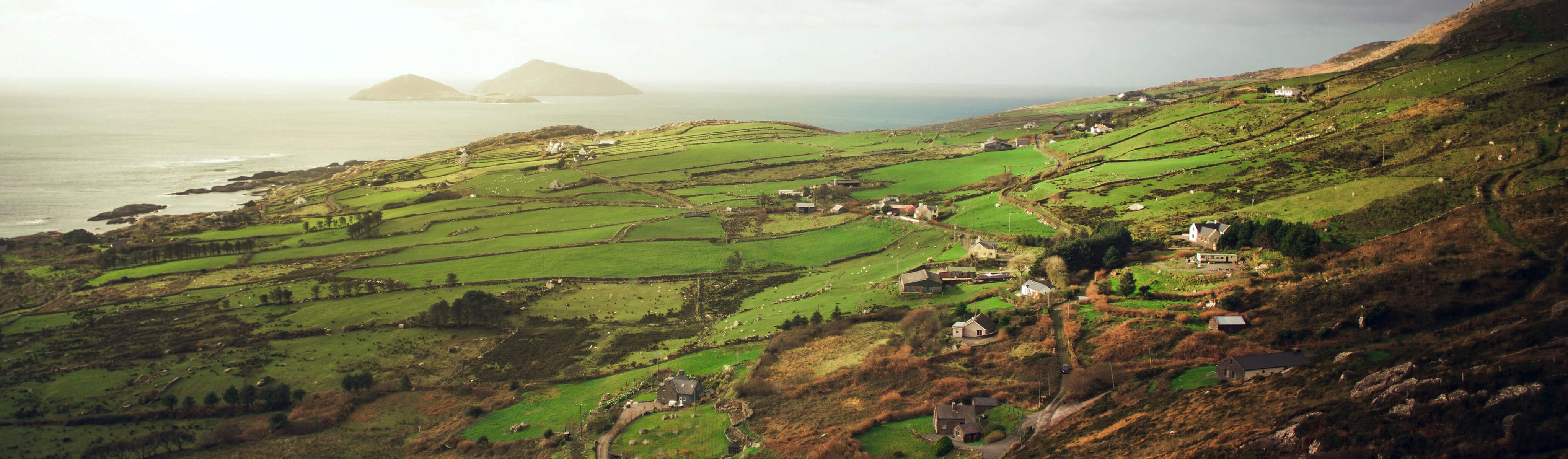 green farmlands in ireland on a cloudy day