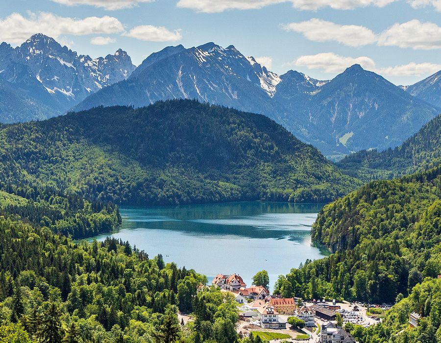 lush green mountains surrounding castle in neuschwanstein germany