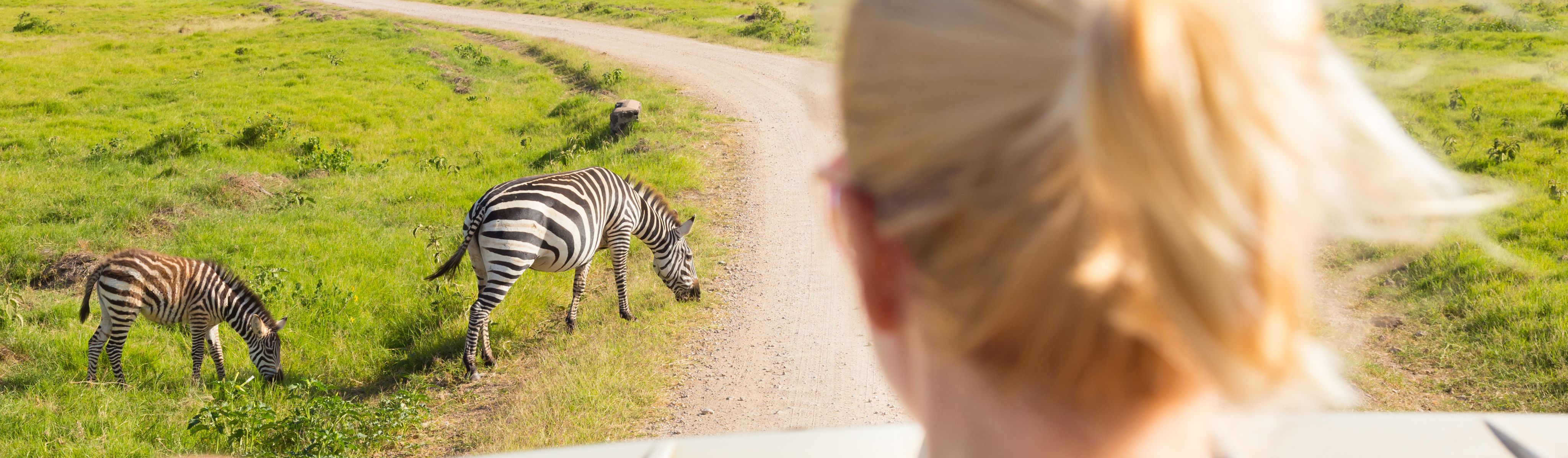 blonde haired woman looking at zebras on a safari trip