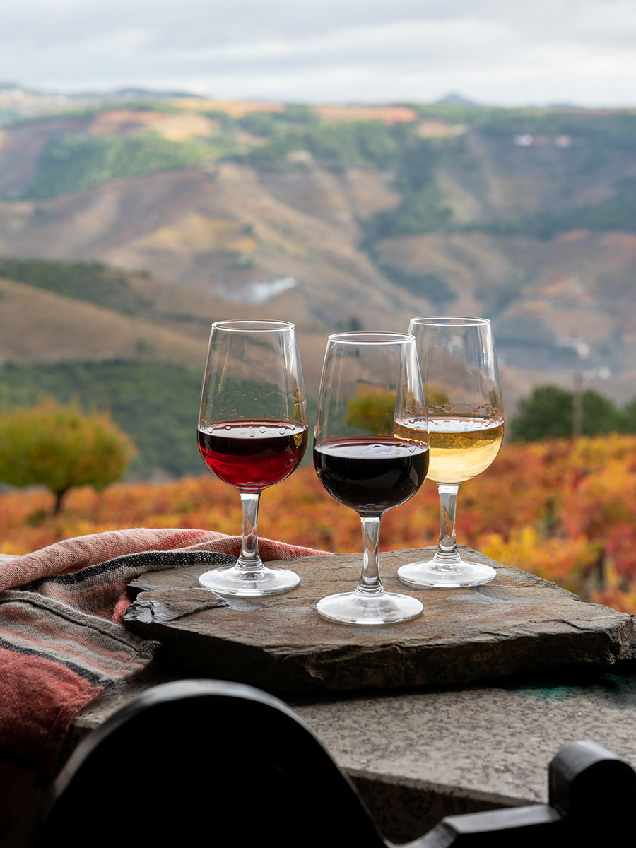 Portugal Food & Wine with America's Test Kitchen EF Go Ahead Tours Portugal Food & Wine with America's Test Kitchen EF Go Ahead Tours
