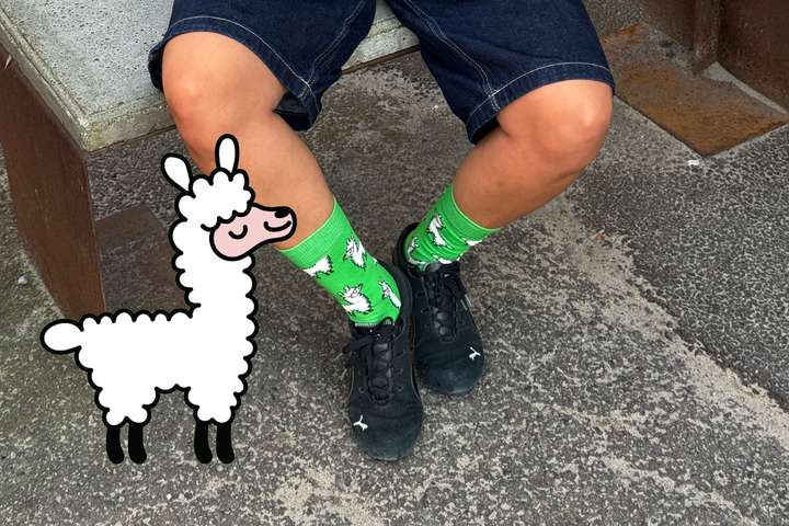 A pair of legs wearing Green Llama Happy Socks with a graphic of the llama pictured beside it to feature our fun, Animal Socks. 