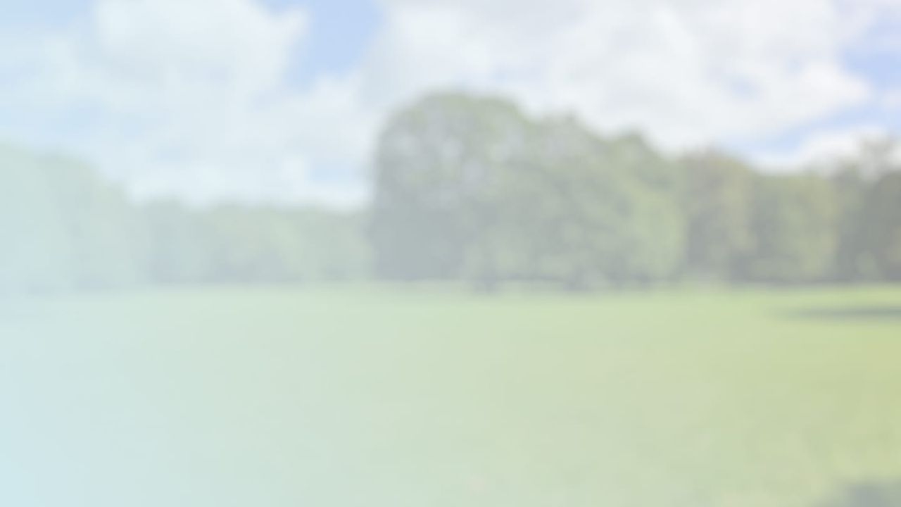 Blurry image of a sunny landscape with green grass, large trees, and a partly cloudy sky in the background.