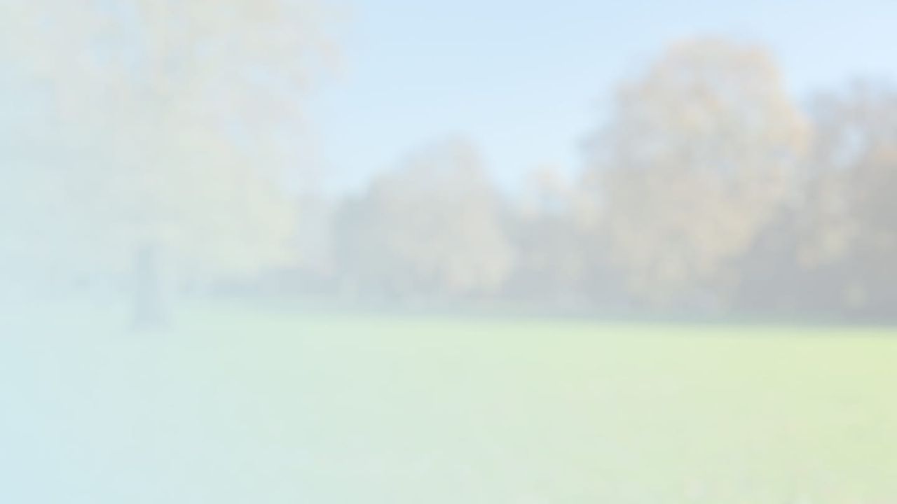 Blurred image of a grassy field with scattered trees, under a clear blue sky.