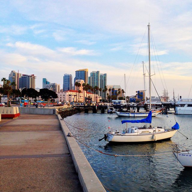 Boats in a marina with a city skyline and palm trees in the background in San Diego.